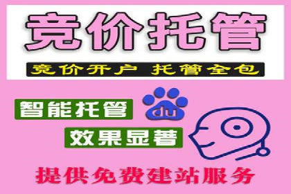 百度竞价广告投放预算分配：实战案例与优化方案